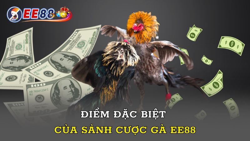 Điểm đặc biệt của sảnh cược gà EE88