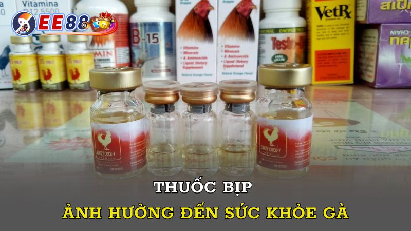 Thuốc bịp ảnh hưởng đến sức khỏe gà